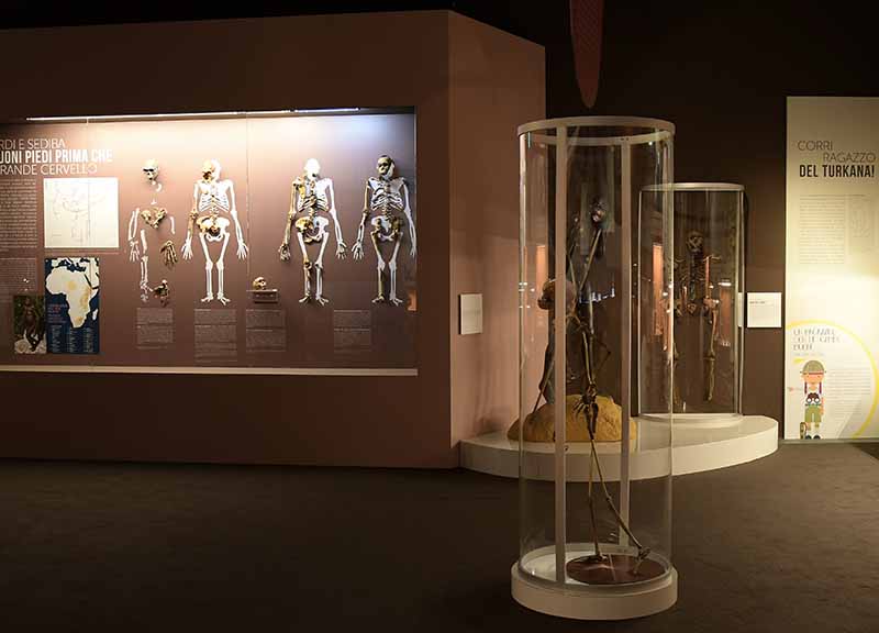 Mostre: al Mudec autunno ricco, da Homo Sapiens a Salone Ducale Mostre: al Mudec autunno ricco, da Homo Sapiens a Salone Ducale