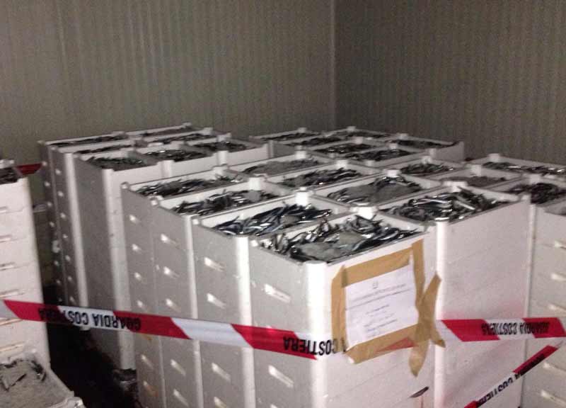 Pesce fresco senza etichetta da Civitavecchia a Salerno. Viaggio al contrario