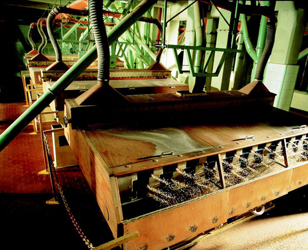 Riso Gallo: 160 anni di tradizione. capaci di vendere riso ai cinesi