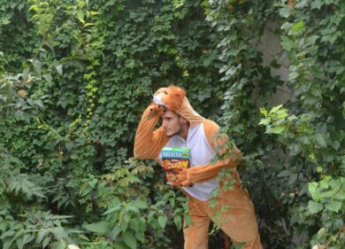 Lion cereali alla conquista della giungla urbana