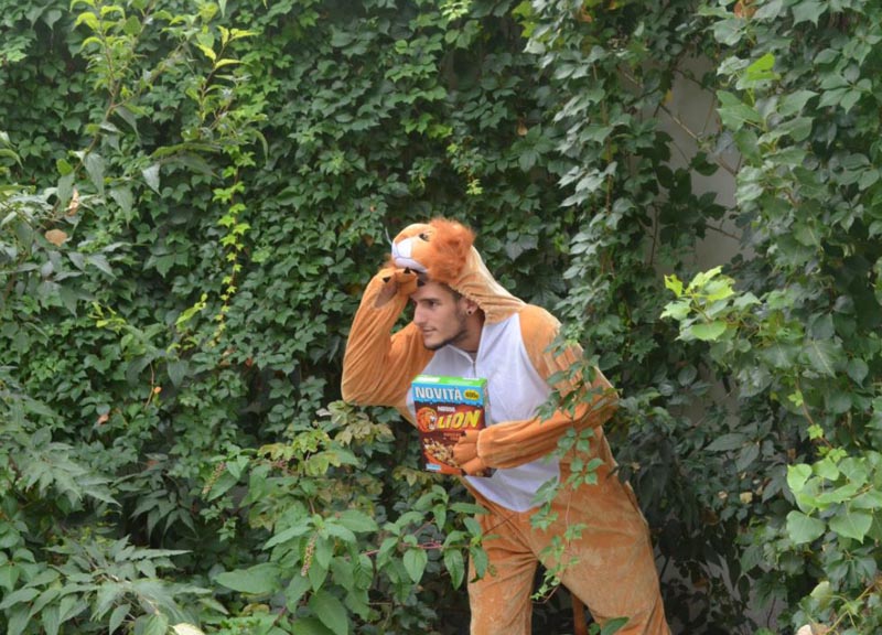 Lion cereali alla conquista della giungla urbana Lion cereali alla conquista della giungla urbana