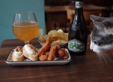 Dove rilassarsi con il proprio gatto: 15 Cat Café a Milano, Parigi, Madrid…