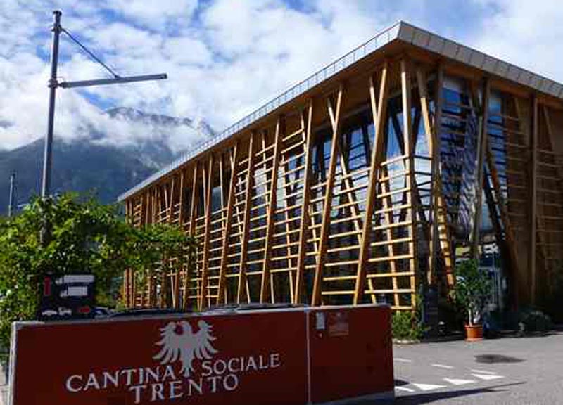 Cantina Sociale di Trento: serve una viticoltura sostenibile Cantina Sociale di Trento: serve una viticoltura sostenibile