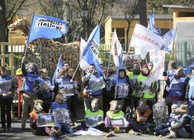 Botticelle, l’assessore Berdini “va fuoristrada” a Villa Borghese