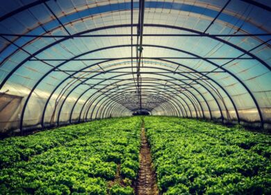 Digital Magics  Intesa alla ricerca dei futuri talenti del Food
