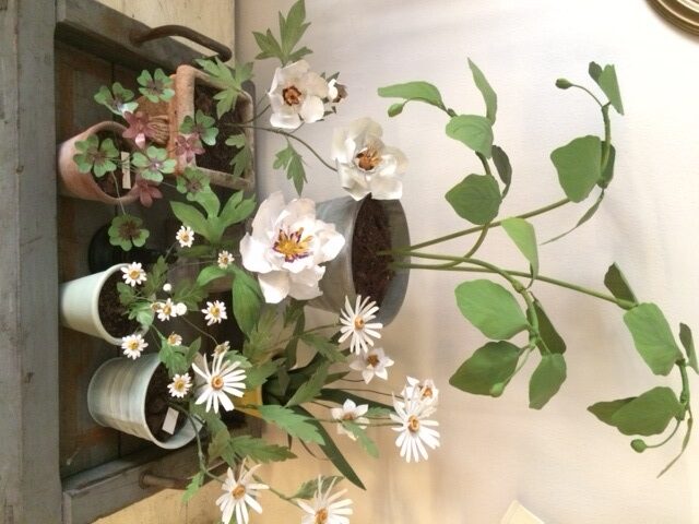 Galleria foto 'Milano, ecco Erbavoglio: l’atelier botanico di Brera' - foto 2