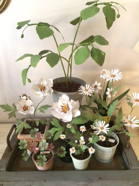 Milano, ecco Erbavoglio: l’atelier botanico di Brera