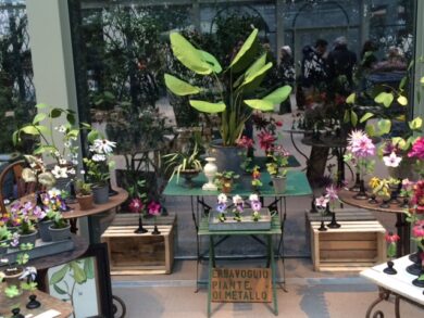 Milano, ecco Erbavoglio: l’atelier botanico di Brera