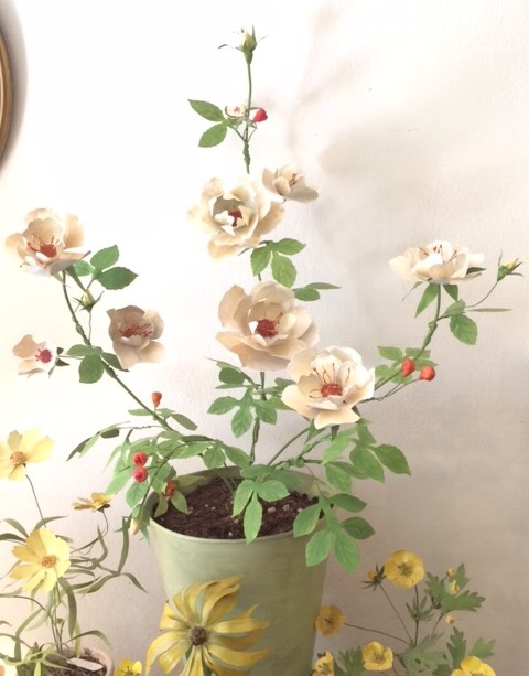 Milano, ecco Erbavoglio: l’atelier botanico di Brera