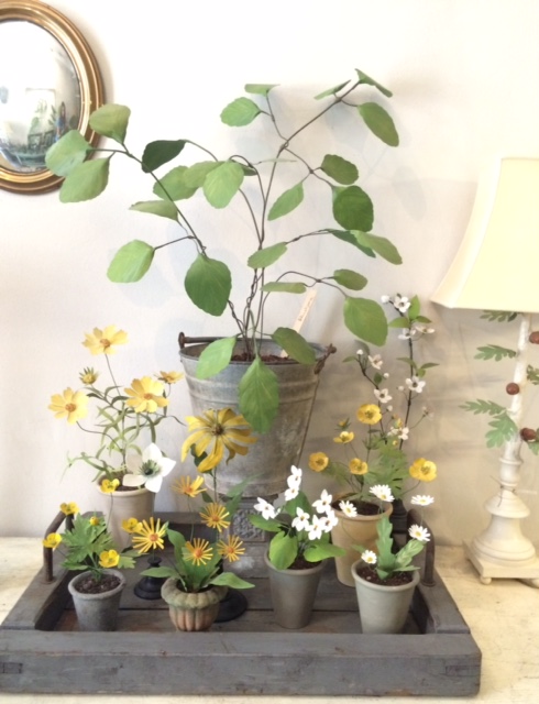 Milano, ecco Erbavoglio: l’atelier botanico di Brera