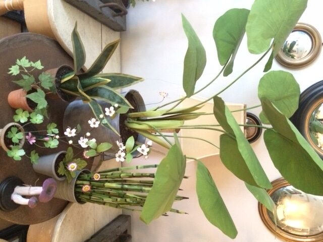 Galleria foto 'Milano, ecco Erbavoglio: l’atelier botanico di Brera' - foto 32