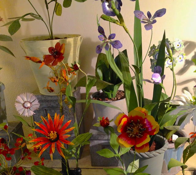 Milano, ecco Erbavoglio: l’atelier botanico di Brera