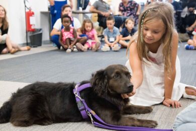 Grazie Pet, via al crowdfunding di Tempo per l’Infanzia