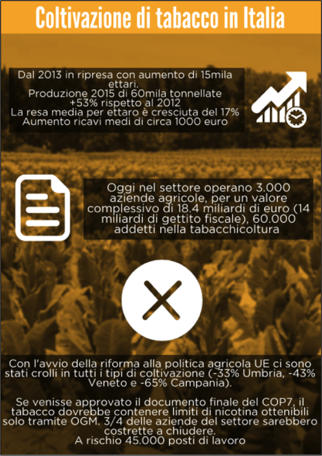Oms, proibizionismo può costare 45mila posti di lavoro nel tabacco in Italia Oms, proibizionismo può costare 45mila posti di lavoro nel tabacco in Italia