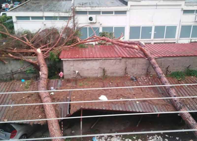 Morti per il maltempo: le Procure di Roma e Civitavecchia aprono un’inchiesta