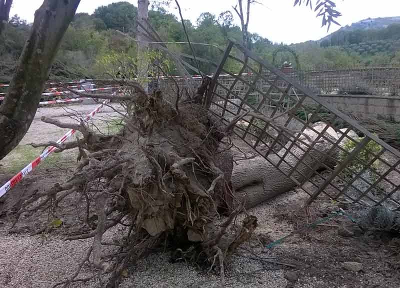 Maltempo, a Ladispoli è ancora emergenza: oltre 400 danni segnalati al Comune