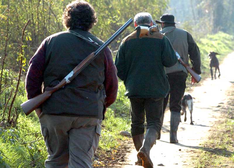 Caccia agli uccelli vietata con il “richiamo”. Multe a chi “inganna” il tordo Caccia agli uccelli vietata con il “richiamo”. Multe a chi “inganna” il tordo