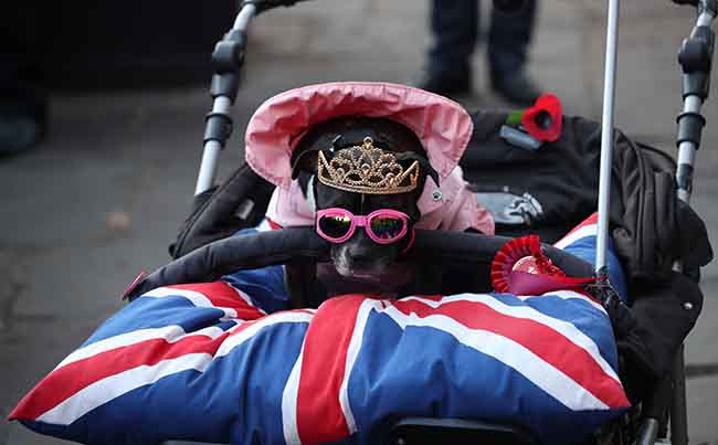 Kate Middleton, abito “riciclato” alla cerimonia funebre. FOTO Kate Middleton, abito “riciclato” alla cerimonia funebre. FOTO