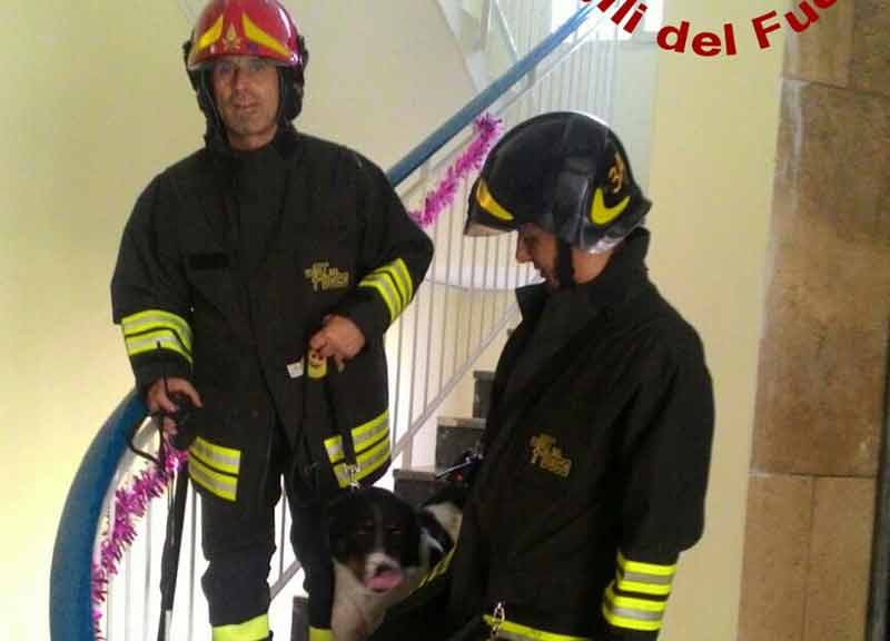 In fiamme la casa di Isabella Biagini. Era sotto sfratto e ridotta in miseria In fiamme la casa di Isabella Biagini. Era sotto sfratto e ridotta in miseria