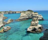 Salento, un crocevia di storni: migranti e civili
