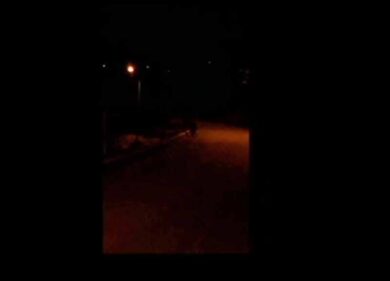 E’ sindrome orso a Lecce nei Marsi. Ha rubato galline pure a Natale. Il video