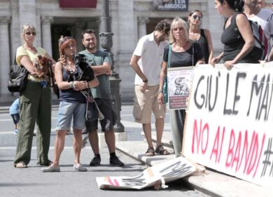 Roma, gestione dei canili opaca e non imparziale. L’Anac invia atti in Procura