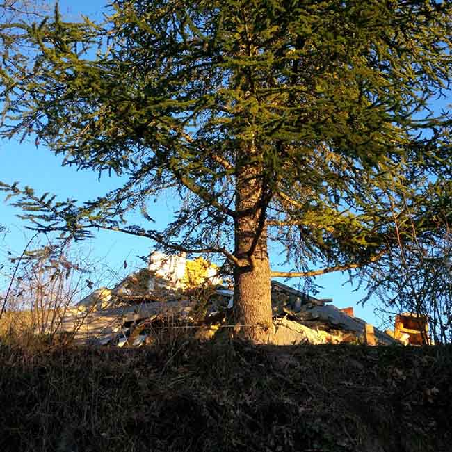 Amatrice, “ritardi clamorosi nella ricostruzione post terremoto”. Reportage