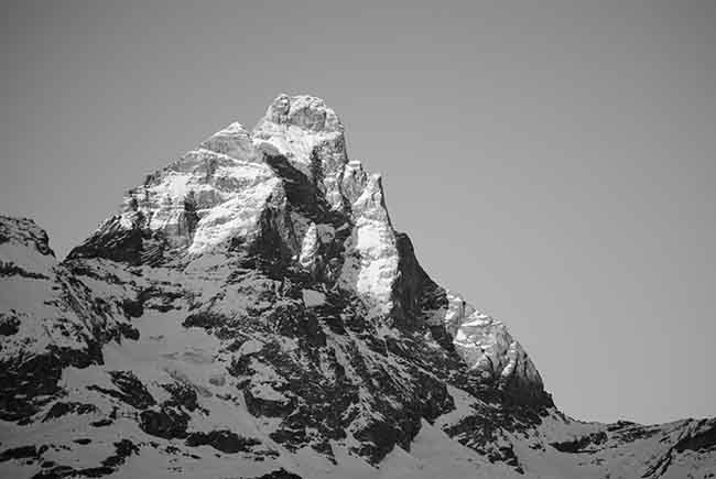 Cervinia, sfilata dei San Bernardo Cervinia, sfilata dei San Bernardo