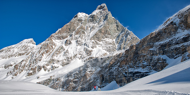 Cervinia, sfilata dei San Bernardo Cervinia, sfilata dei San Bernardo