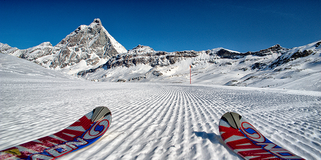 Cervinia, sfilata dei San Bernardo Cervinia, sfilata dei San Bernardo