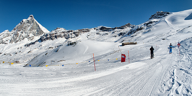 Cervinia, sfilata dei San Bernardo Cervinia, sfilata dei San Bernardo