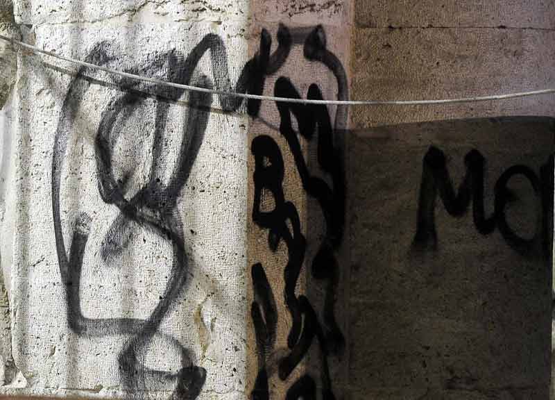 Colosseo, dagli scavi archeologici emerge il cranio di un cavallo medievale