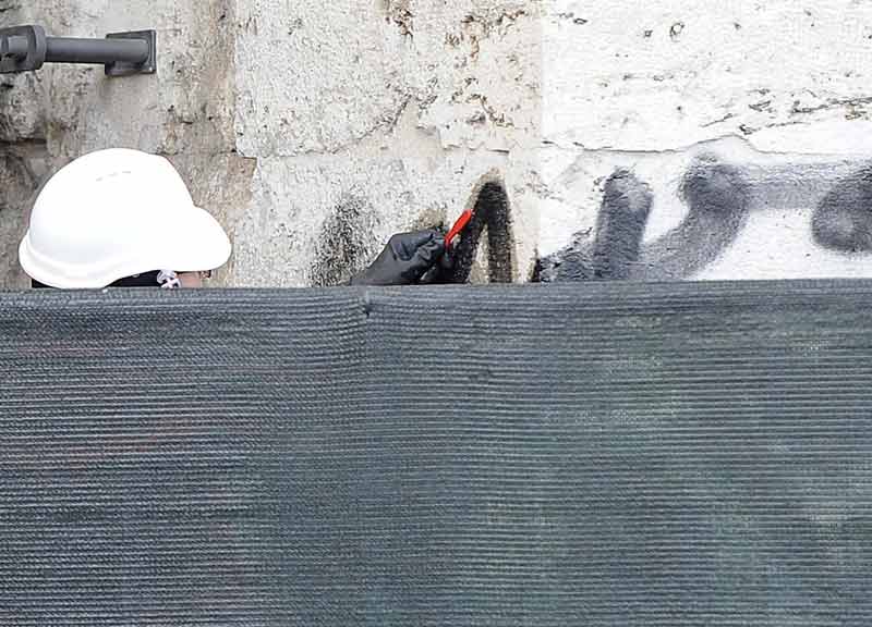 Colosseo, dagli scavi archeologici emerge il cranio di un cavallo medievale