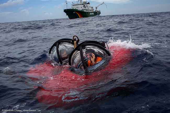 Greenpeace, barriera corallina amazzonica minacciata da compagnie petrolifere Greenpeace, barriera corallina amazzonica minacciata da compagnie petrolifere