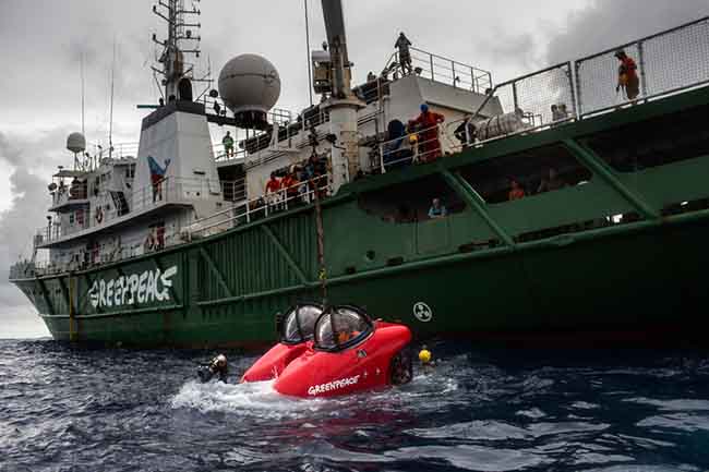 Greenpeace, barriera corallina amazzonica minacciata da compagnie petrolifere Greenpeace, barriera corallina amazzonica minacciata da compagnie petrolifere