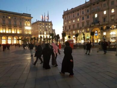 Le 7 ragioni (idiote) delle palme. Il dramma di una città venduta a pezzi