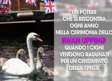 I poteri incredibili della Regina Elisabetta:10 privilegi segreti della regina