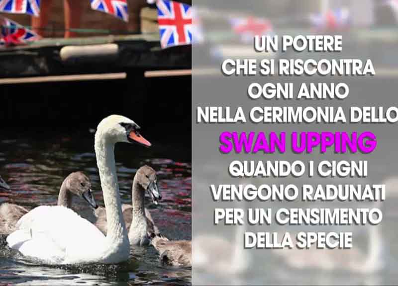 I poteri incredibili della Regina Elisabetta:10 privilegi segreti della regina I poteri incredibili della Regina Elisabetta:10 privilegi segreti della regina