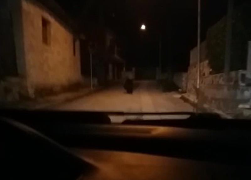 L’orso è il padrone del paese. Lecce nei Marsi, paura e divieto di avvicinarsi L’orso è il padrone del paese. Lecce nei Marsi, paura e divieto di avvicinarsi