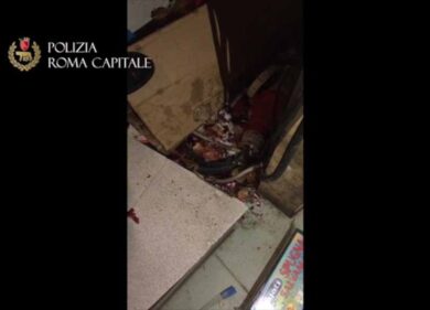 Topi, blatte e scarafaggi. Rione Monti, pizzeria e market infestati