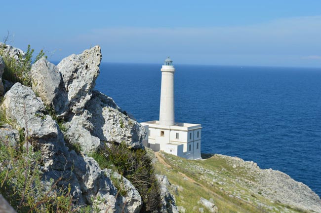 Famiglia Trump, probabili vacanze in Puglia: Gargano o Salento? Famiglia Trump, probabili vacanze in Puglia: Gargano o Salento?