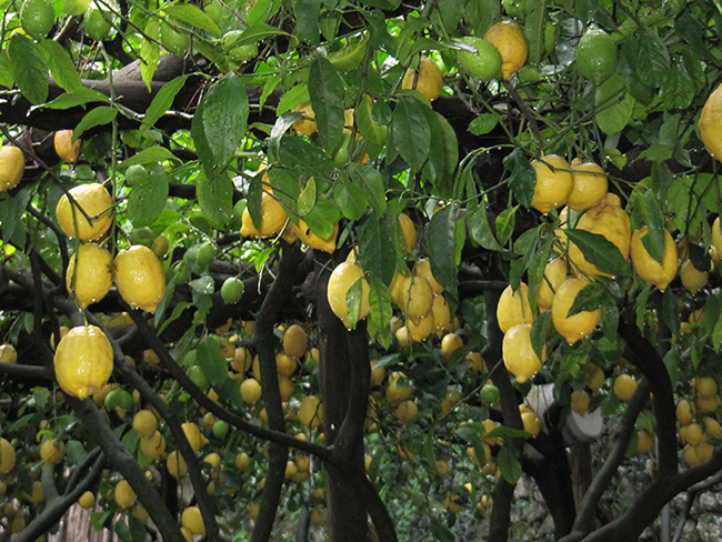 Costiera Amalfitana, la primavera è il momento giusto per visitarla. Reportage