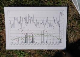grafico