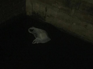 La movida tra Pisapia e Sala. Intanto la Darsena fa schifo. Hate