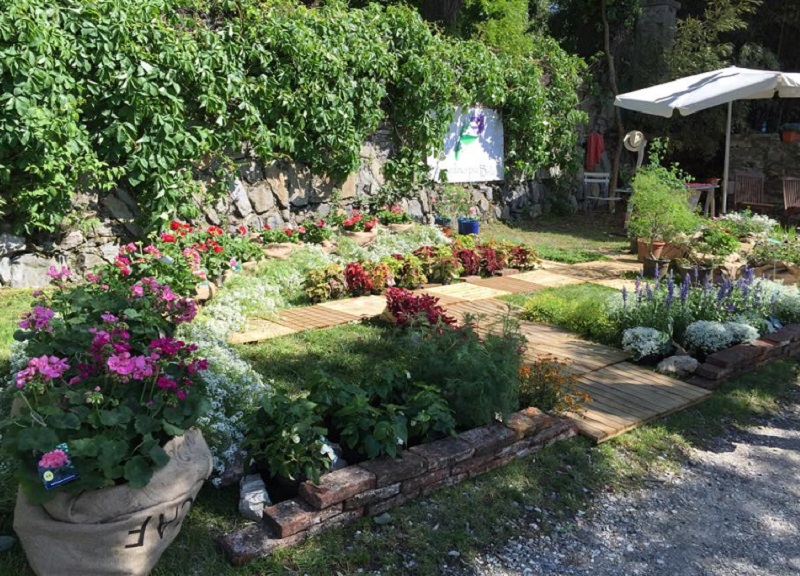 InFiorita Ispra: “verde nel verde” sul lago Maggiore InFiorita Ispra: “verde nel verde” sul lago Maggiore