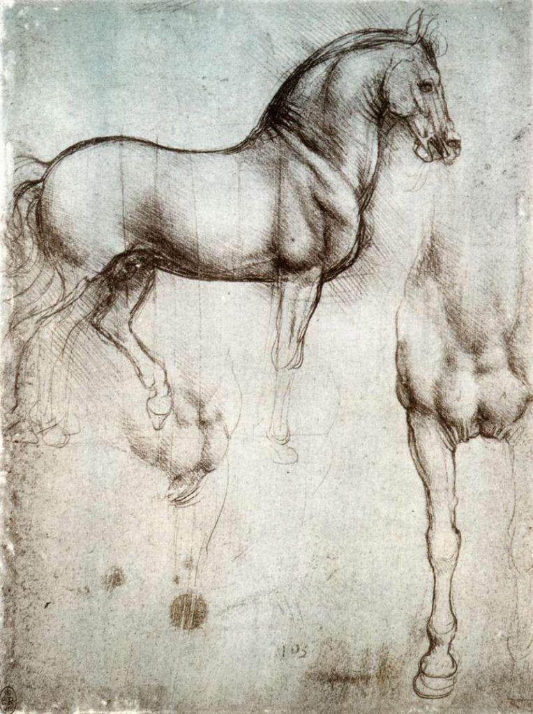 cavallo leonardo 2 cavallo leonardo 2