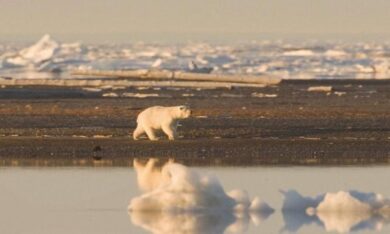 Rischi climatici e strategie di investimento socialmente responsabili