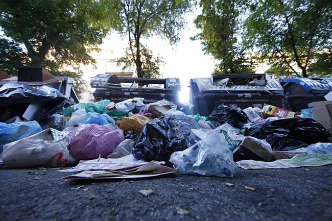 Rifiuti a Roma: oltre 6 milioni di ratti nella capitale di Topolandia