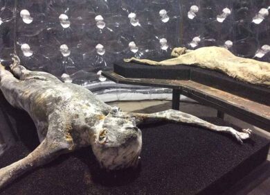 Biennale di Venezia al via: viaggio nel Padiglione Italia