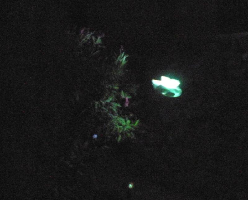 “Gli alieni sono sulla Terra”. Comunicazione ufficiale dell’Fbi. Foto